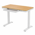 Schreibtisch – 120 × 60 cm, höhenverstellbar, mit Schubladen